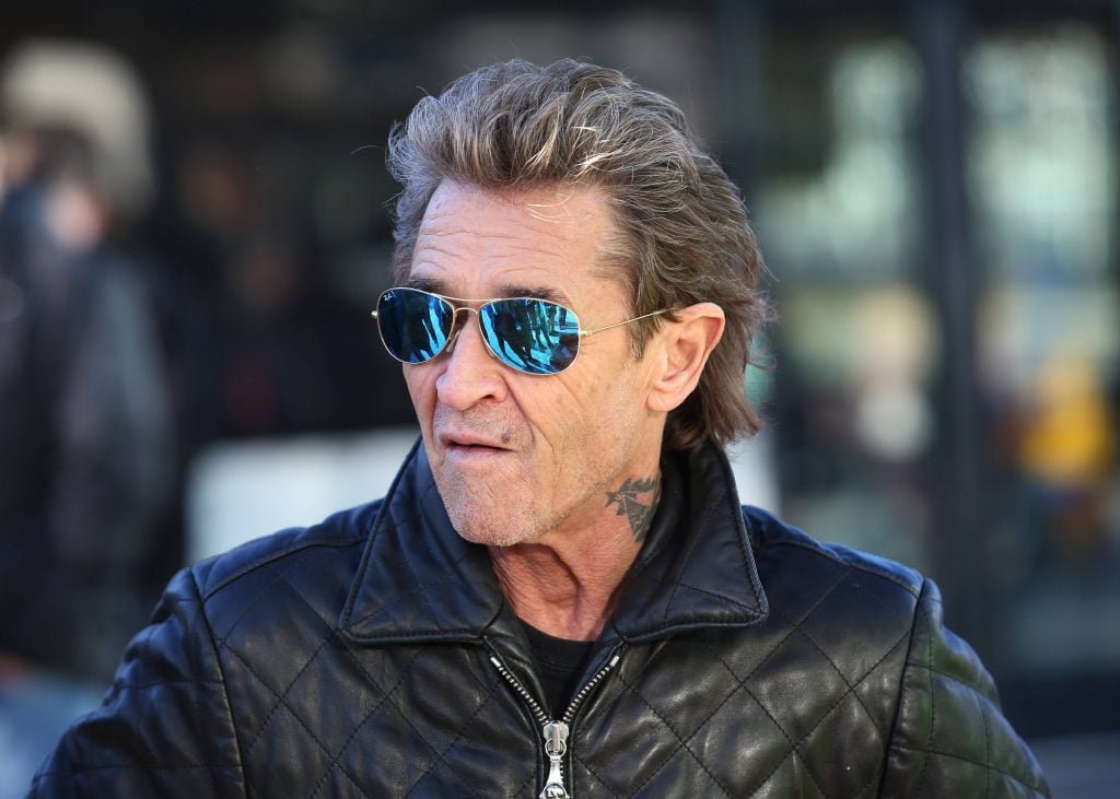 peter maffay vermögen